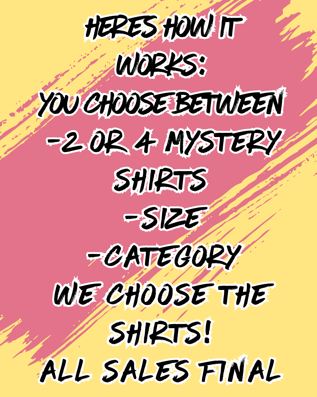 2 Pack Mystery Bundle Graphic T-Shirts