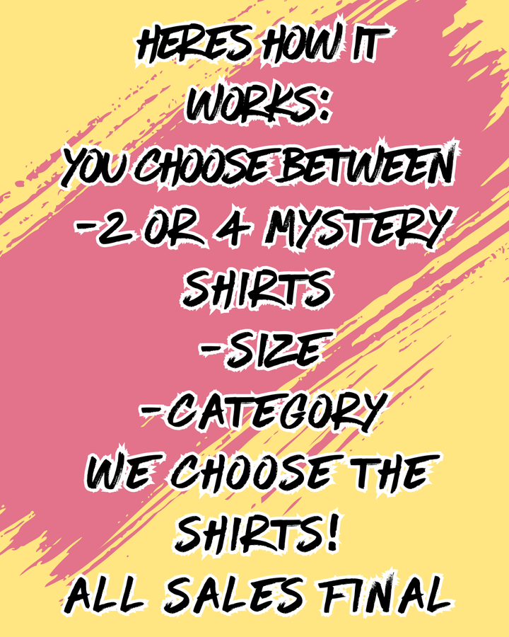 2 Pack Mystery Bundle Graphic T-Shirts