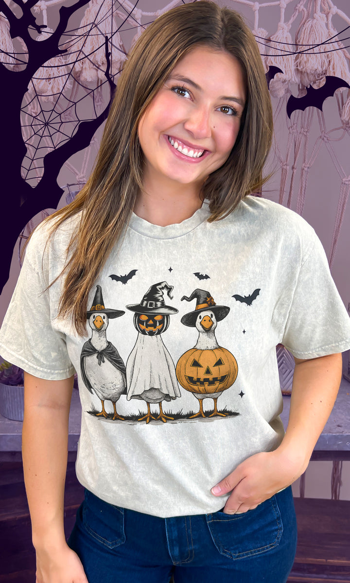 Boo Ghost and Geese Halloween Mineral Washed Graphic Shirt