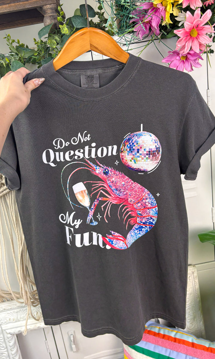 Do Not Question My Fun Comfort Color Graphic T-Shirt