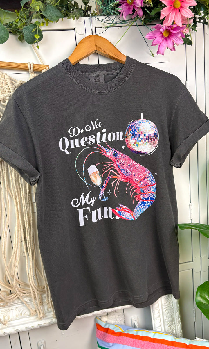 Do Not Question My Fun Comfort Color Graphic T-Shirt