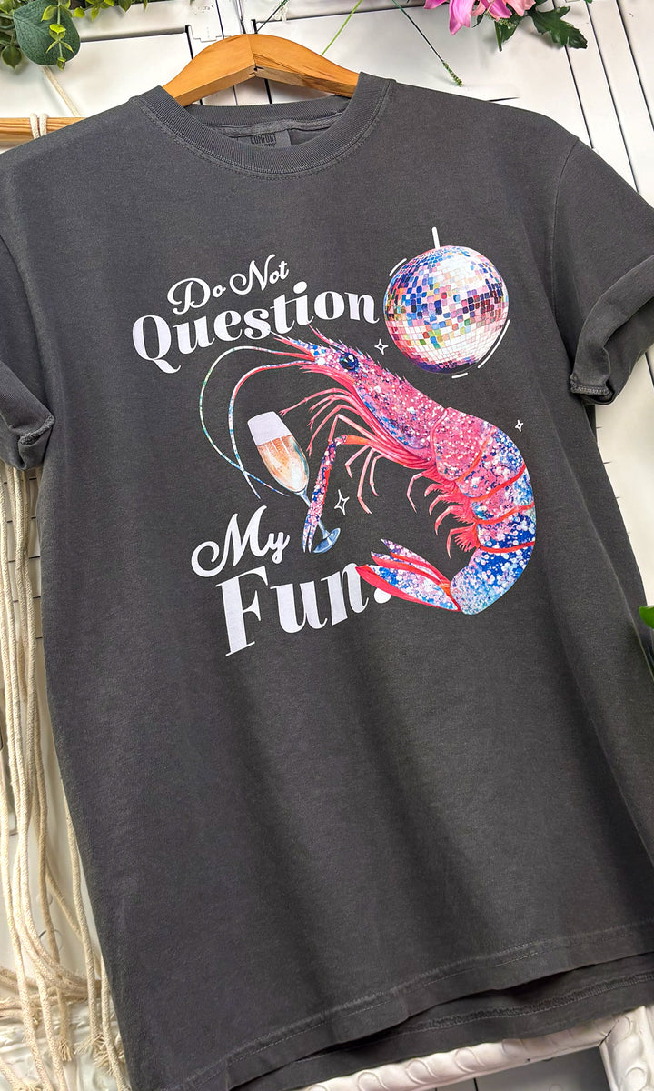 Do Not Question My Fun Comfort Color Graphic T-Shirt