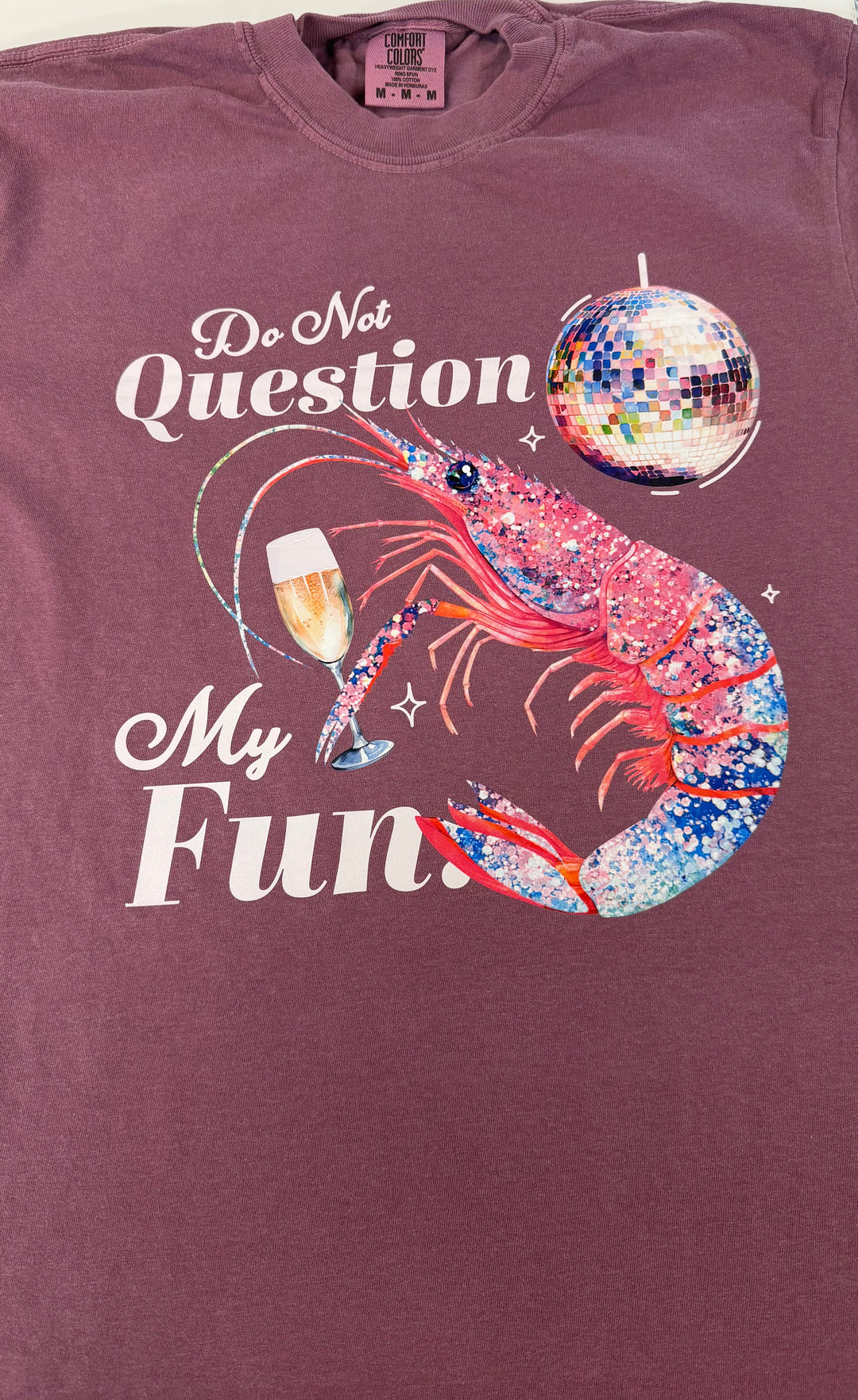 Do Not Question My Fun Comfort Color Graphic T-Shirt