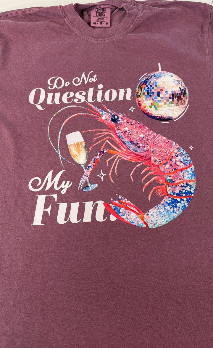 Do Not Question My Fun Comfort Color Graphic T-Shirt