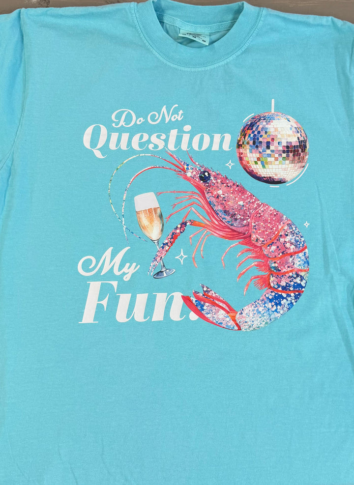 Do Not Question My Fun Comfort Color Graphic T-Shirt