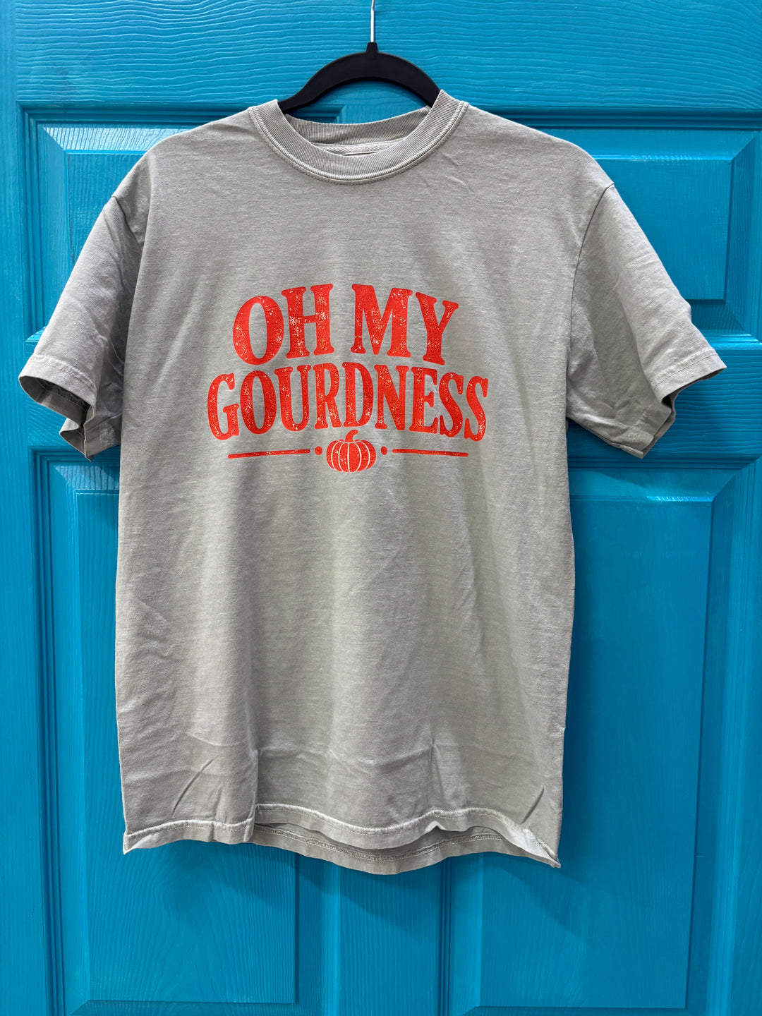 Oh My Gourdness Graphic Comfort Color T-Shirt