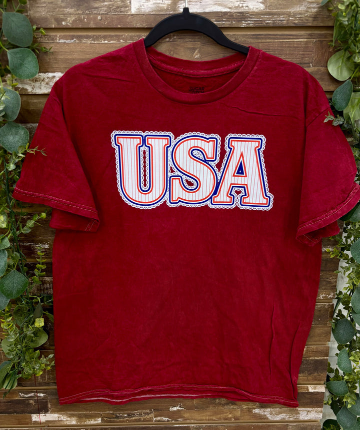 Frilly Stripped USA Mineral Washed Graphic T-Shirt