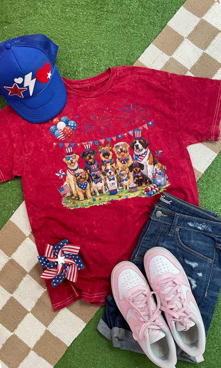 Patriotic Party Puppies Mineral Wash Graphic T-Shirt