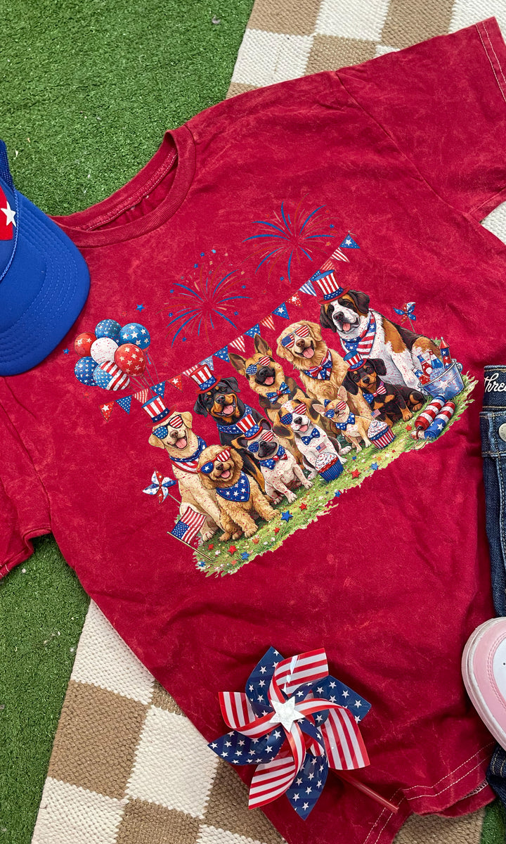 Patriotic Party Puppies Mineral Wash Graphic T-Shirt
