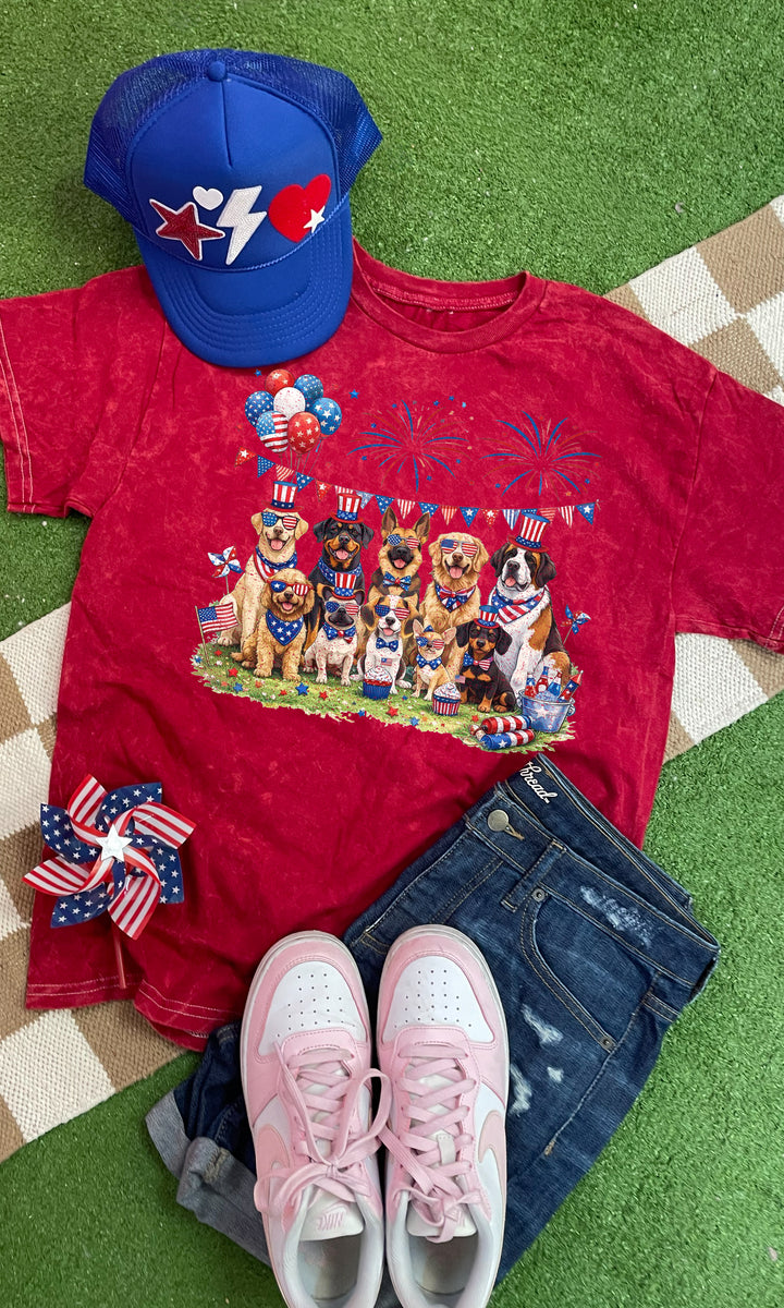 Patriotic Party Puppies Mineral Wash Graphic T-Shirt
