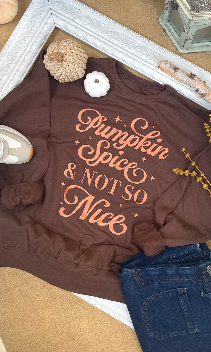 Pumpkin Spice &amp; Not So Nice Fall Graphic Sweatshirt
