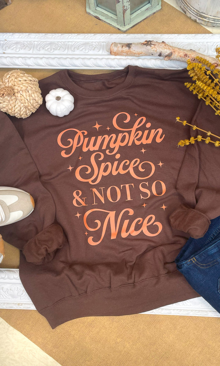 Pumpkin Spice &amp; Not So Nice Fall Graphic Sweatshirt