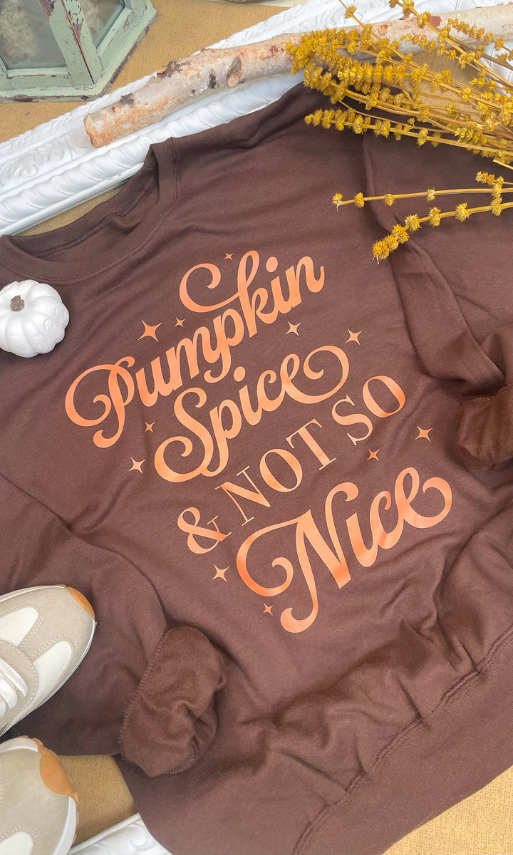 Pumpkin Spice &amp; Not So Nice Fall Graphic Sweatshirt